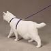 Savvy Tabby Nylon Cat Harness and Matching 4' Lead (Purple)