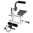 Multisports Fitness Pro ROM Series Ab and Back Exercise Machine Multisports Fitness Pro ROM Series Ab and Back Exercise Machine