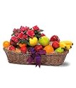Fruit and Plant Basket