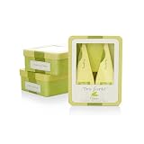 Tea Forte - Small Tin