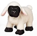 Webkinz Plush Stuffed Animal Sheep (Lamb)