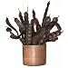 Decorative Saba Bean Pods