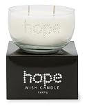 Primal Elements Wish Candle, Hope, 11-Ounce Box