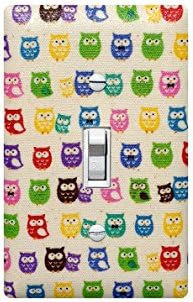 Rainbow Hedgehog Light Switch Plate Cover