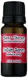 Holiday Season Synergy Essential Oil Blend. 10 ml. 100% Pure, Undiluted, Therapeutic Grade. (Blend of: Sweet Orange, Cinna
