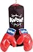 Punching Bag and Gloves Set