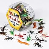 Insects Math & Sort