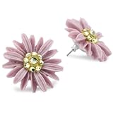 TARINA TARANTINO ClassicLavender Daisy Cake Post Ea