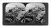 Historic Print (L): [Bird's-eye view of riverboats at the wharves along the Tennessee River, Memphis, Tennes