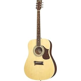 Dreadnought Acoustic Guitar with Case by