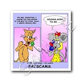 Londons Times Funny Cat Cartoons - Cat Scams - Iron on Heat Transfers