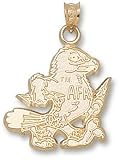 Air Force Falcons Solid 10K Gold ''AFA'' Falcon 3/4'' Pendant