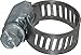 SAE Size 4, 5/16 to 5/8" Diam, Carbon Steel Miniature Worm Drive Clamp