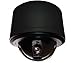 Spectra? IV SE 36X Pendant Black Clear NTSC