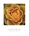 Elegance - Peach Rose, Motivational Poster