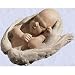 cherub baby statue home garden angel sculpture New