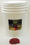 Review Living Whole Foods  / 35lb. Adzuki Sprouting Seed Mix - Certified Organic - 35 Lb. Re-sealable Bucket - High Germination Rate - Dried Adzuki Seeds for Sprouting Sprouts, Cooking, Soup, Food Storage. High Protien Mix of Dried Sprouting Seeds Including Organic: Adzuki, Packed with Protein Plus Fiber, Vitamins and Minerals for a Delicious Addition to Salads, Soups, Oriental Dishes, or Best of All, All By Themselves!