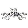 Flying Spaghetti Monster Car Emblem