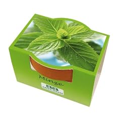 Minipflanzset Minze