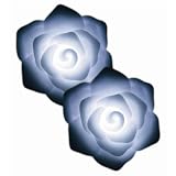 Novelty Lamps