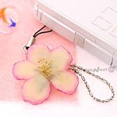 生花で作られたからここまで美しい　*リアルフラワー携帯ストラップ*（桜）