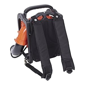 backpack leaf blower and vacuum