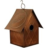 Philadelphia Eagles Birdhouse