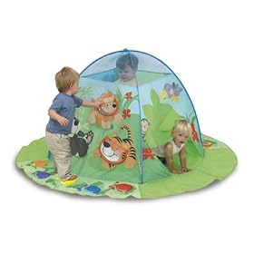 Fisher-Price Discovery Play Tent