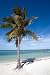 Wallmonkeys Peel and Stick Wall Decals - White Sand Beach on Lower Keys, Florida - Removable Graphic