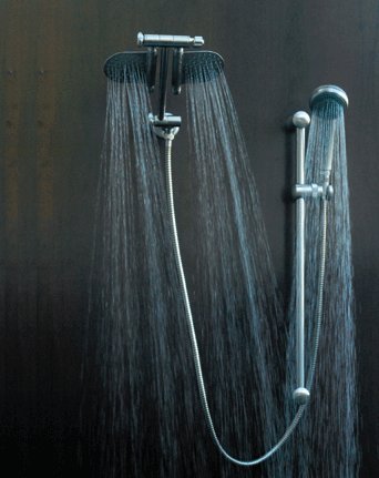Sting Ray 7 Chrome Shower Head with Hand Held