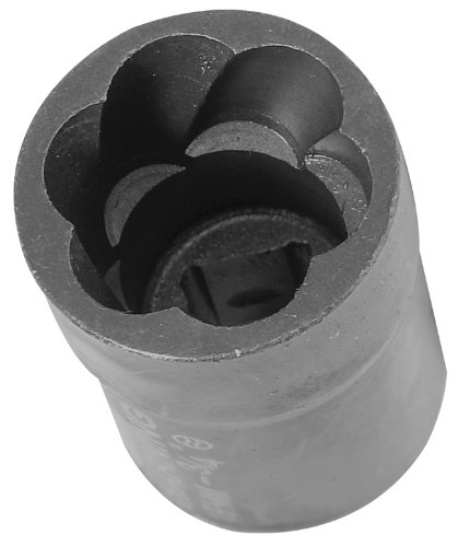 41kZ2PZDlHL._SL500_.jpg