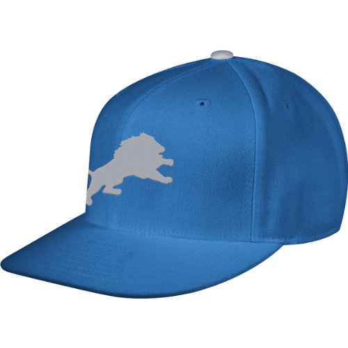 Mitchell & Ness Detroit Lions Fitted Throwback Hat 8 1/4