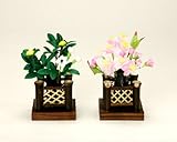 �����g������������ �w���k ���������R���x �����l/���l�`