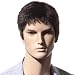 Songmics Neu Perücke Haar Wigs Männlich Männer Glatt Braun Kurz 28 cm WMS123