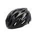 Giro Stylus Bike Helmet (black/titanium, Small)