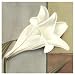 All Alone by Tamara Ross Fine Art Print / Poster 7.00 x 7.00 in.