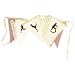 Funky Sock Monkey Happy Birthday Banner