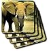 Wild animals - African Elephant - Coasters