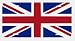 United Kingdom Union Jack British Flag License Plate