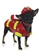 3PC Fireman Firefighter Cute Dog Holiday Pet Costume