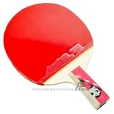 DHS Table Tennis Racket #TP6006, Ping Pong Paddle, Table Tennis Racquets - Penhold