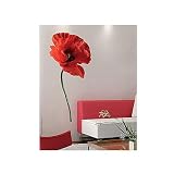 Plage  Coquelicot (Poppy)