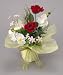 ���G�}�A�[�g�t�����[�@�`�Q�T�O�T�|�Q�T�@