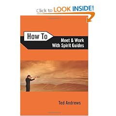 How to Meet and Work with Spirit Guides (How to (Llewellyn))