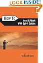 How to Meet and Work with Spirit Guides (How to (Llewellyn))