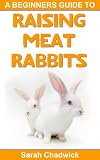 Beginners Guide to Raising Meat Rabbits