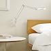 Link Wall Mount Size: Small, Color: Black