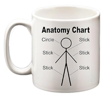 anatomy