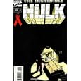 The Incredible Hulk #420 by  Peter David and Gary Frank