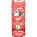 The Switch Carbonated Juice, Kiwi Berry, 8-Ounce Cans (Pack of 24)